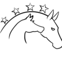 Stal Stammerland Logo